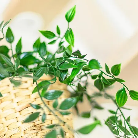 Holiday home Monolocale Romantico Le Conserve *