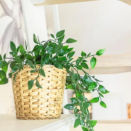 Monolocale Romantico Le Conserve Holiday home